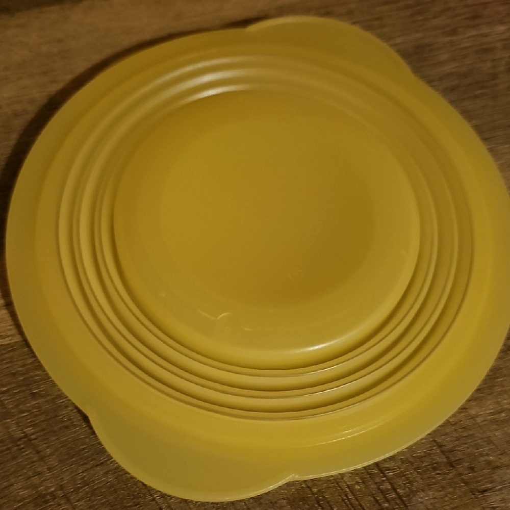Flat Out Expandable/Collapsible Bowl